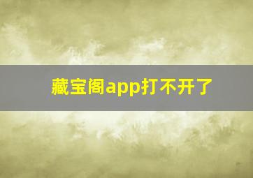 藏宝阁app打不开了