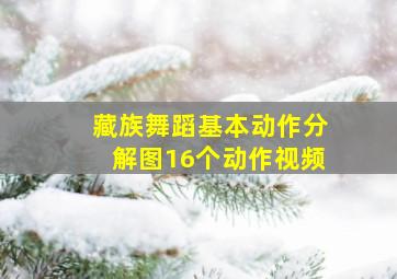 藏族舞蹈基本动作分解图16个动作视频