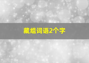 藏组词语2个字