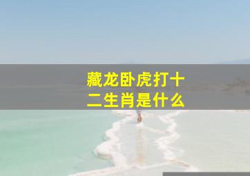 藏龙卧虎打十二生肖是什么