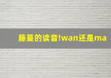 藤蔓的读音!wan还是ma