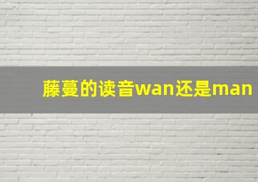 藤蔓的读音wan还是man