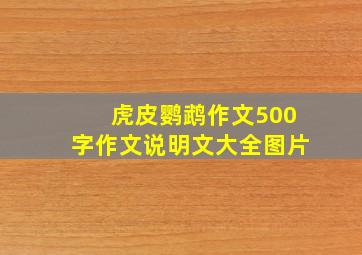 虎皮鹦鹉作文500字作文说明文大全图片