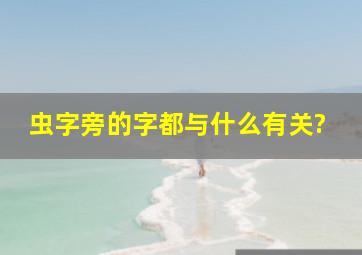 虫字旁的字都与什么有关?