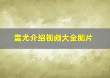 蚩尤介绍视频大全图片