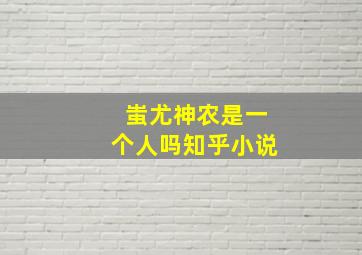 蚩尤神农是一个人吗知乎小说