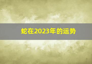 蛇在2023年的运势