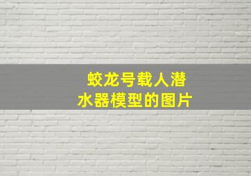 蛟龙号载人潜水器模型的图片