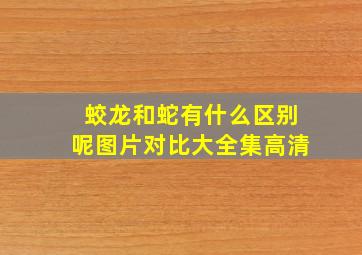 蛟龙和蛇有什么区别呢图片对比大全集高清