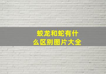 蛟龙和蛇有什么区别图片大全