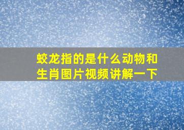 蛟龙指的是什么动物和生肖图片视频讲解一下