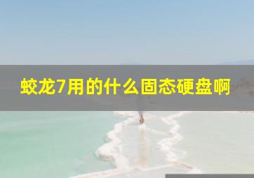 蛟龙7用的什么固态硬盘啊