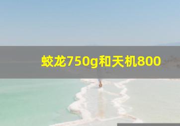 蛟龙750g和天机800