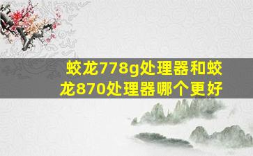 蛟龙778g处理器和蛟龙870处理器哪个更好