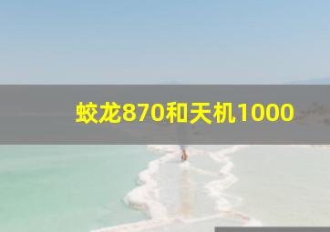 蛟龙870和天机1000