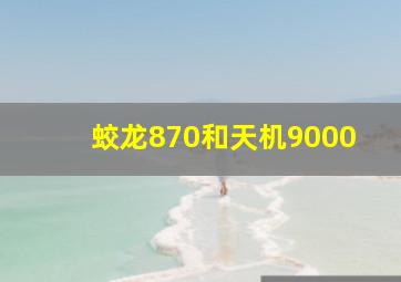 蛟龙870和天机9000