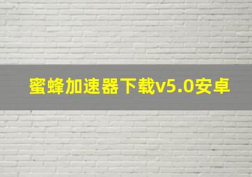 蜜蜂加速器下载v5.0安卓