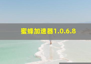 蜜蜂加速器1.0.6.8