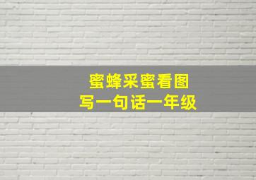 蜜蜂采蜜看图写一句话一年级