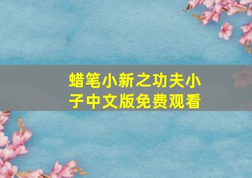 蜡笔小新之功夫小子中文版免费观看