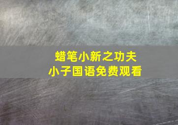 蜡笔小新之功夫小子国语免费观看