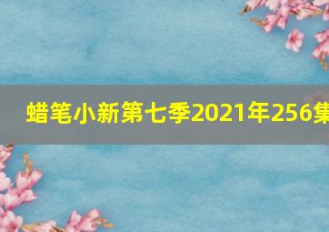 蜡笔小新第七季2021年256集