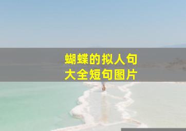 蝴蝶的拟人句大全短句图片