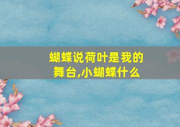 蝴蝶说荷叶是我的舞台,小蝴蝶什么