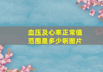 血压及心率正常值范围是多少啊图片