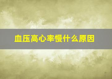 血压高心率慢什么原因