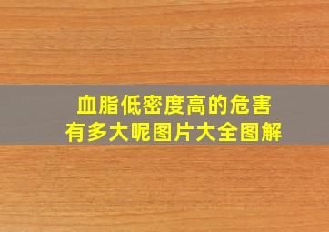 血脂低密度高的危害有多大呢图片大全图解