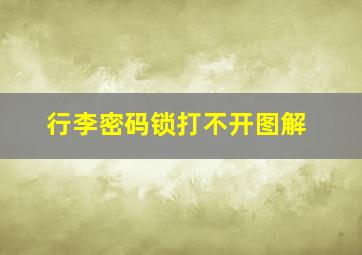 行李密码锁打不开图解