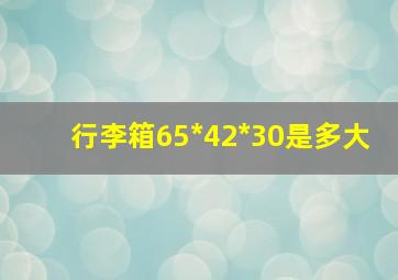 行李箱65*42*30是多大