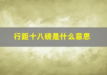 行距十八磅是什么意思