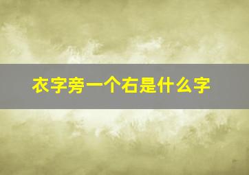 衣字旁一个右是什么字