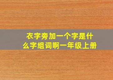 衣字旁加一个字是什么字组词啊一年级上册