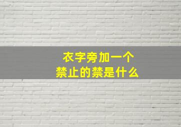 衣字旁加一个禁止的禁是什么