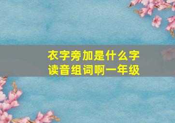 衣字旁加是什么字读音组词啊一年级