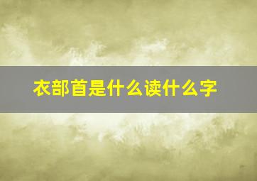 衣部首是什么读什么字