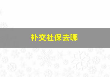 补交社保去哪