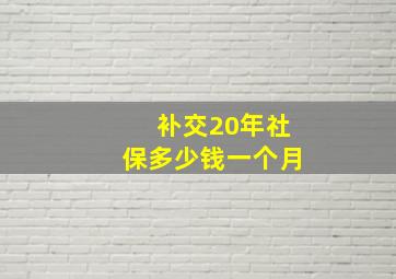 补交20年社保多少钱一个月