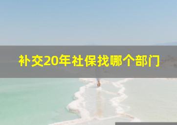 补交20年社保找哪个部门