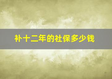 补十二年的社保多少钱