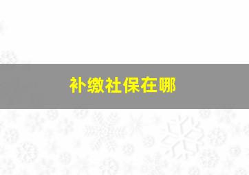 补缴社保在哪