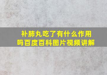 补肺丸吃了有什么作用吗百度百科图片视频讲解