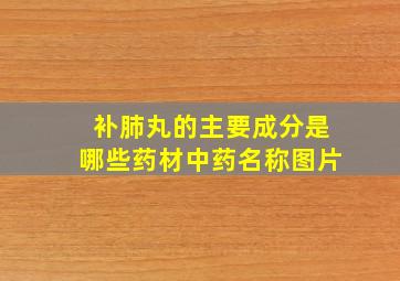 补肺丸的主要成分是哪些药材中药名称图片