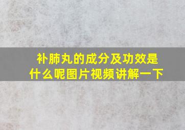 补肺丸的成分及功效是什么呢图片视频讲解一下