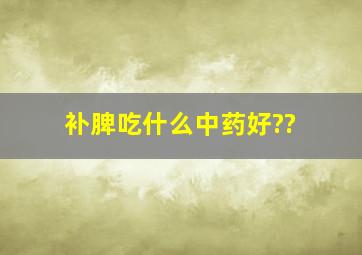 补脾吃什么中药好??