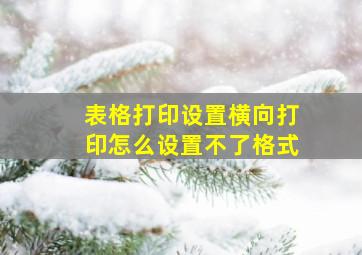 表格打印设置横向打印怎么设置不了格式