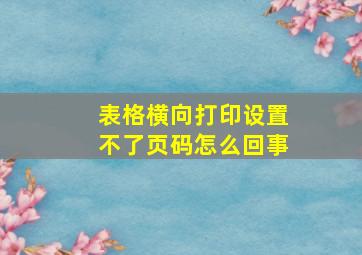 表格横向打印设置不了页码怎么回事